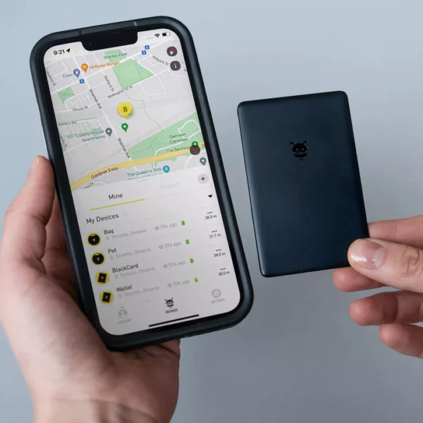 Myairrights Pebblebee Card - Image 2